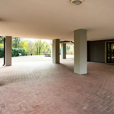 Modern Grey Flat In Apartment